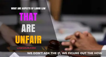 Unfair Labor Laws: Exploring Inequities in Workplace Rights and Protections