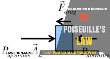 Understanding Assumptions in the Derivation of Poiseuille's Law