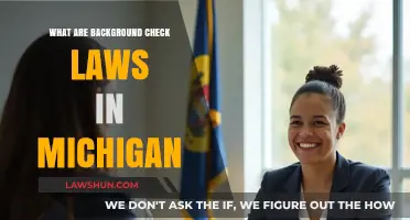 Understanding Michigan's Background Check Laws: A Comprehensive Legal Guide