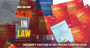 Understanding Bare Acts: The Foundation of Legal Statutes Explained