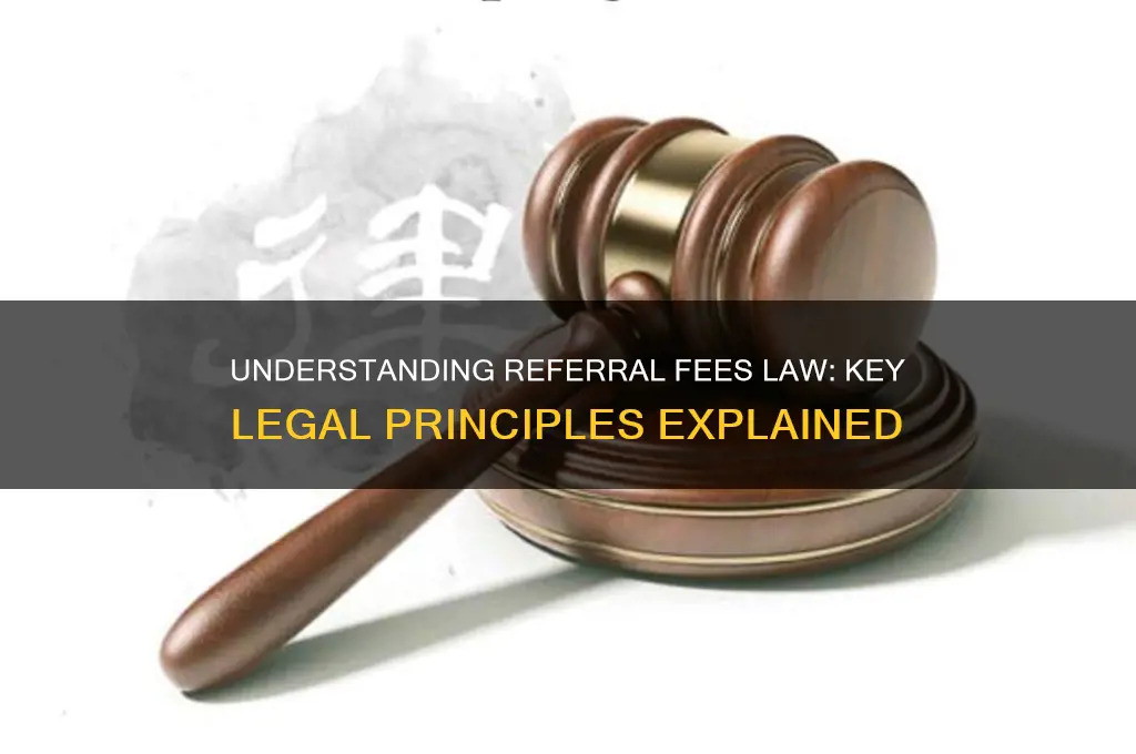 what are basic legal principles of the referrals fees law