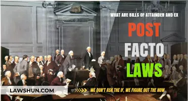 Understanding Bills of Attainder and Ex Post Facto Laws: Key Legal Concepts