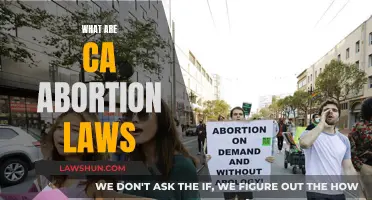 California Abortion Laws: What You Need to Know