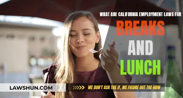 Understanding California's Lunch and Break Employment Laws