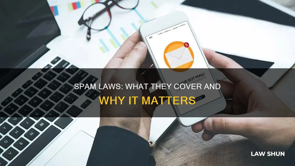 what are can spam laws cover