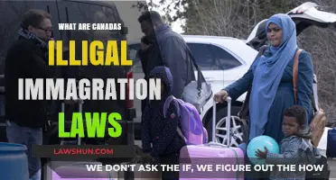 Canada's Immigration Laws: Understanding the Illegal Entry