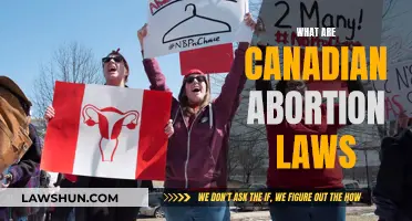 Abortion Laws in Canada: Understanding the Current Landscape