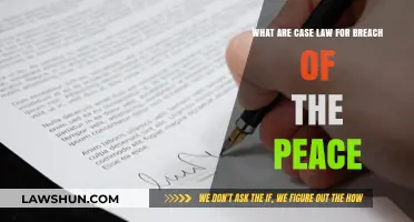 Understanding Breach of Peace: Case Law Explained