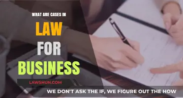 Business Law Basics: Understanding Legal Cases