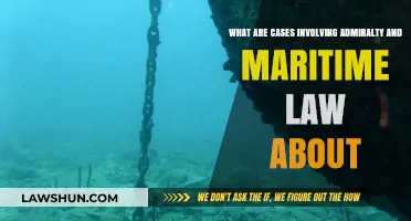 Admiralty and Maritime Law: What's the Case?