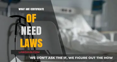Understanding Certificate of Need Laws: Purpose, Impact, and Controversies