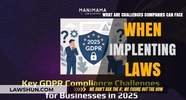 Challenges of Law Implementation: Business Edition