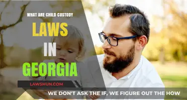 Understanding Child Custody Laws in Georgia: A Comprehensive Guide