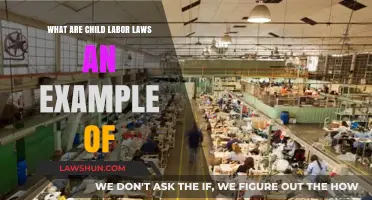 Child Labor Laws: A Case Study in Social Reform and Protection
