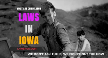 Understanding Iowa's Child Labor Laws: Protections, Regulations, and Compliance