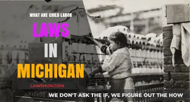 Understanding Michigan's Child Labor Laws: Protections and Regulations Explained
