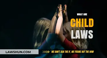 Understanding Child Laws: Protecting Rights, Ensuring Safety, and Shaping Futures