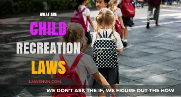 Understanding Child Recreation Laws: Safety, Rights, and Legal Guidelines