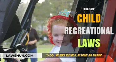 Understanding Child Recreational Laws: Safety, Rights, and Legal Guidelines
