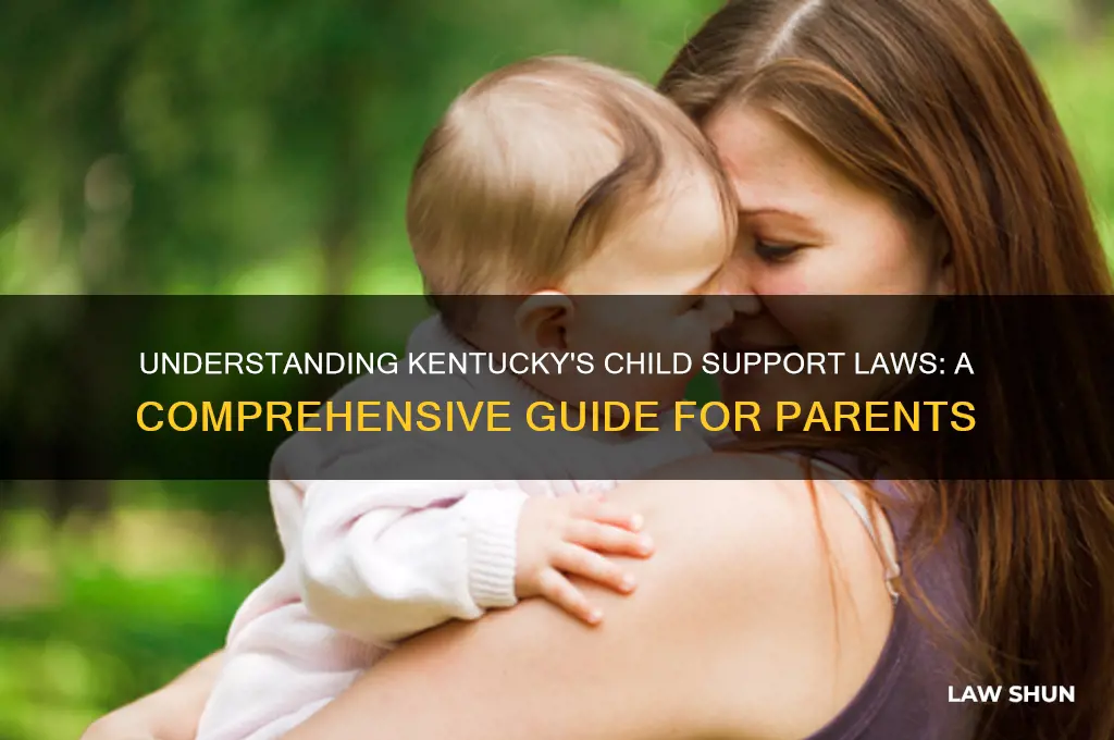 what are child support laws in kentucky
