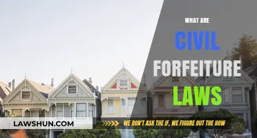 Understanding Civil Forfeiture Laws: How They Impact Property Rights