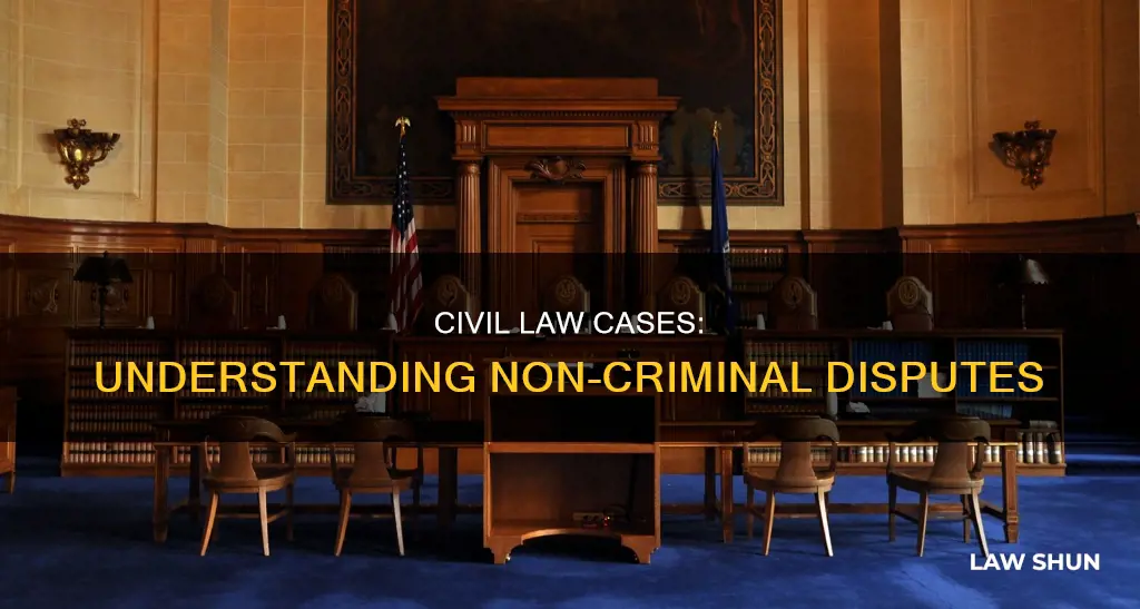 what are civil law cases also know as