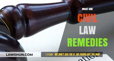 Understanding Civil Law Remedies: Legal Solutions for Civil Disputes