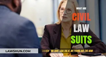 Understanding Civil Lawsuits: Legal Disputes Beyond Criminal Charges Explained