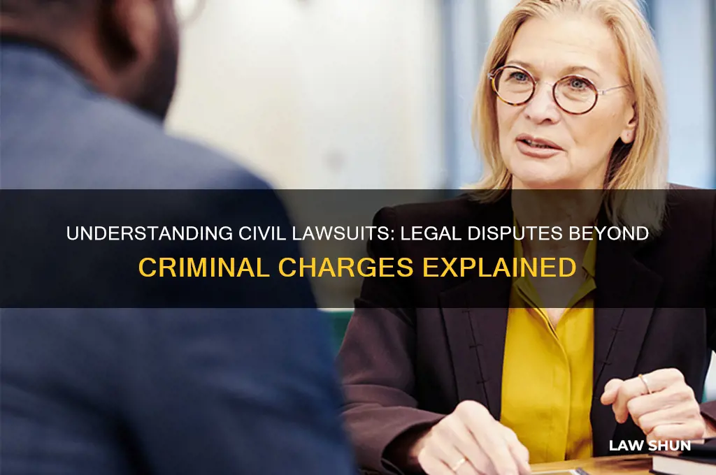 what are civil law suits