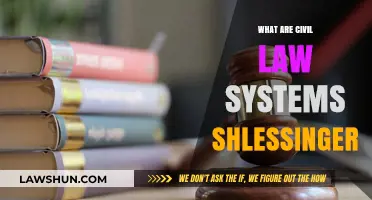 Understanding Civil Law Systems: A Comprehensive Guide for Shlessinger