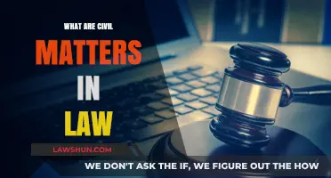 Understanding Civil Matters: Legal Disputes Beyond Criminal Cases Explained