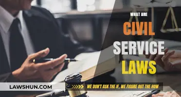 Understanding Civil Service Laws: Key Principles and Their Impact