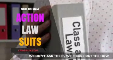 Understanding Class Action Lawsuits: How They Work and Why They Matter