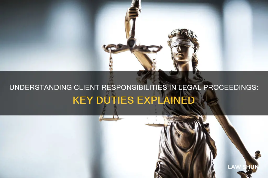 what are client