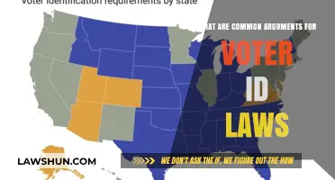 Voter ID Laws: Security or Suppression?