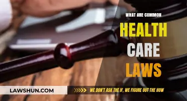 Health Care Laws: Understanding the Basics