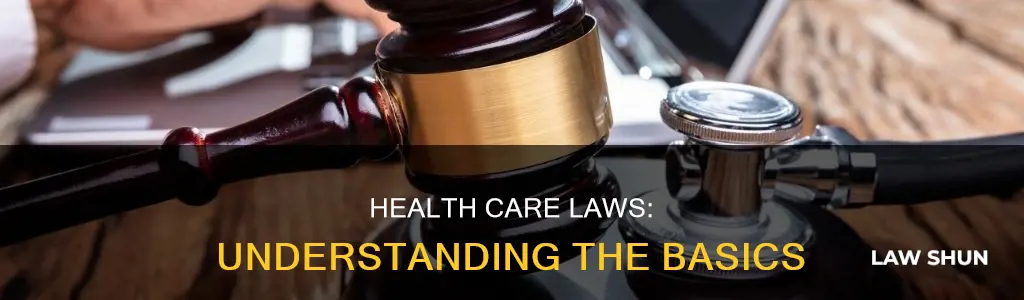 what are common health care laws