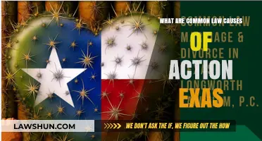 Understanding Common Law Causes in Texas