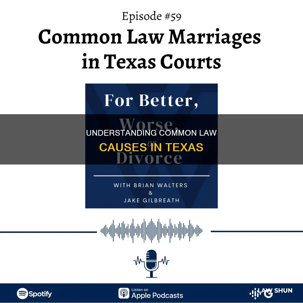 what are common law causes of action exas