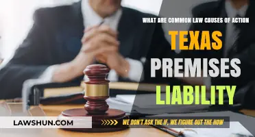 Understanding Texas Premises Liability: Common Law Causes
