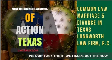 Understanding Texas Common Law Claims