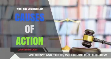 Common Law Causes of Action: Understanding the Basics