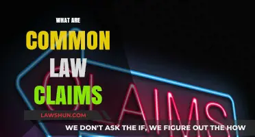Understanding Common Law Claims: Your Legal Rights