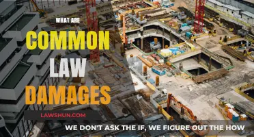 Understanding Common Law Damages: Legal Compensation
