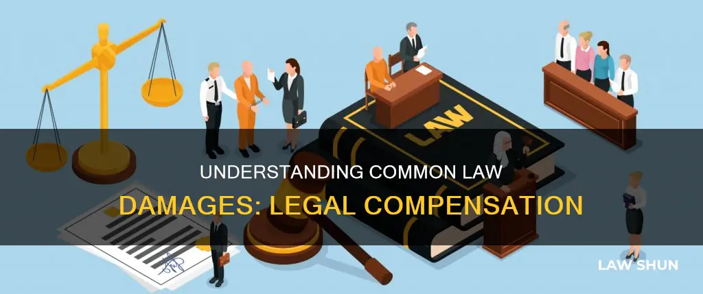 what are common law damages
