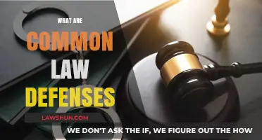 Common Law Defenses: Understanding Your Legal Options