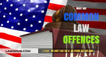 Understanding Common Law Offences: Definition and Examples