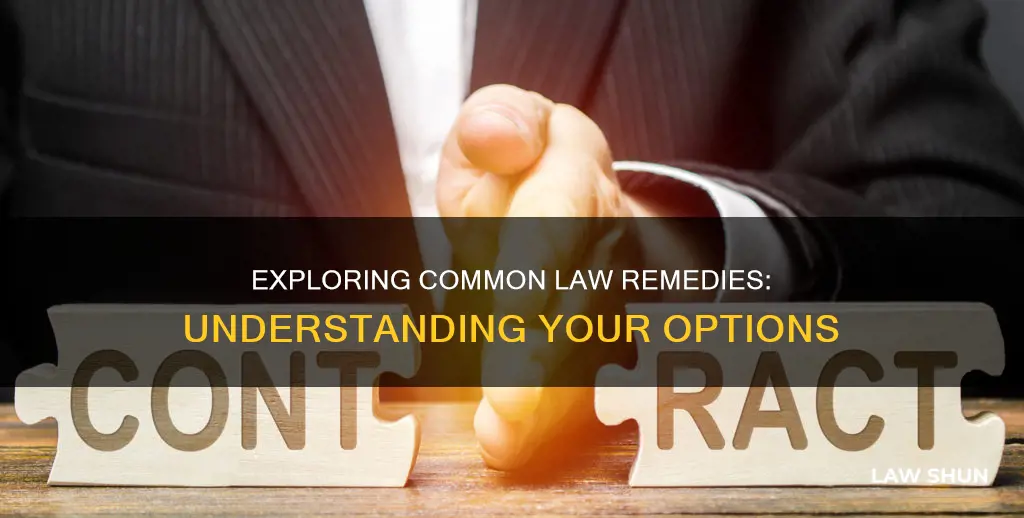 what are common law remedies