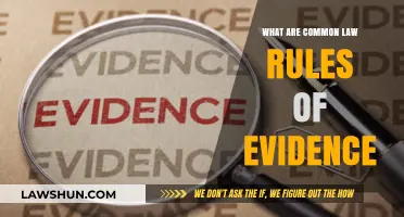 Understanding Common Law Rules of Evidence