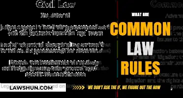 Understanding Common Law Rules: A Guide